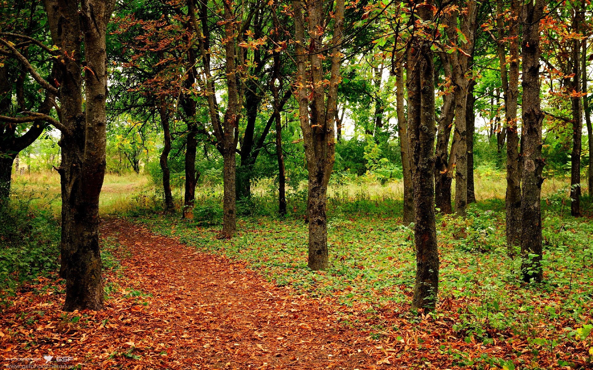 爱游戏体育app网页版下载-新月阵容汇聚坎塞洛、库利巴利、内维斯  第3张