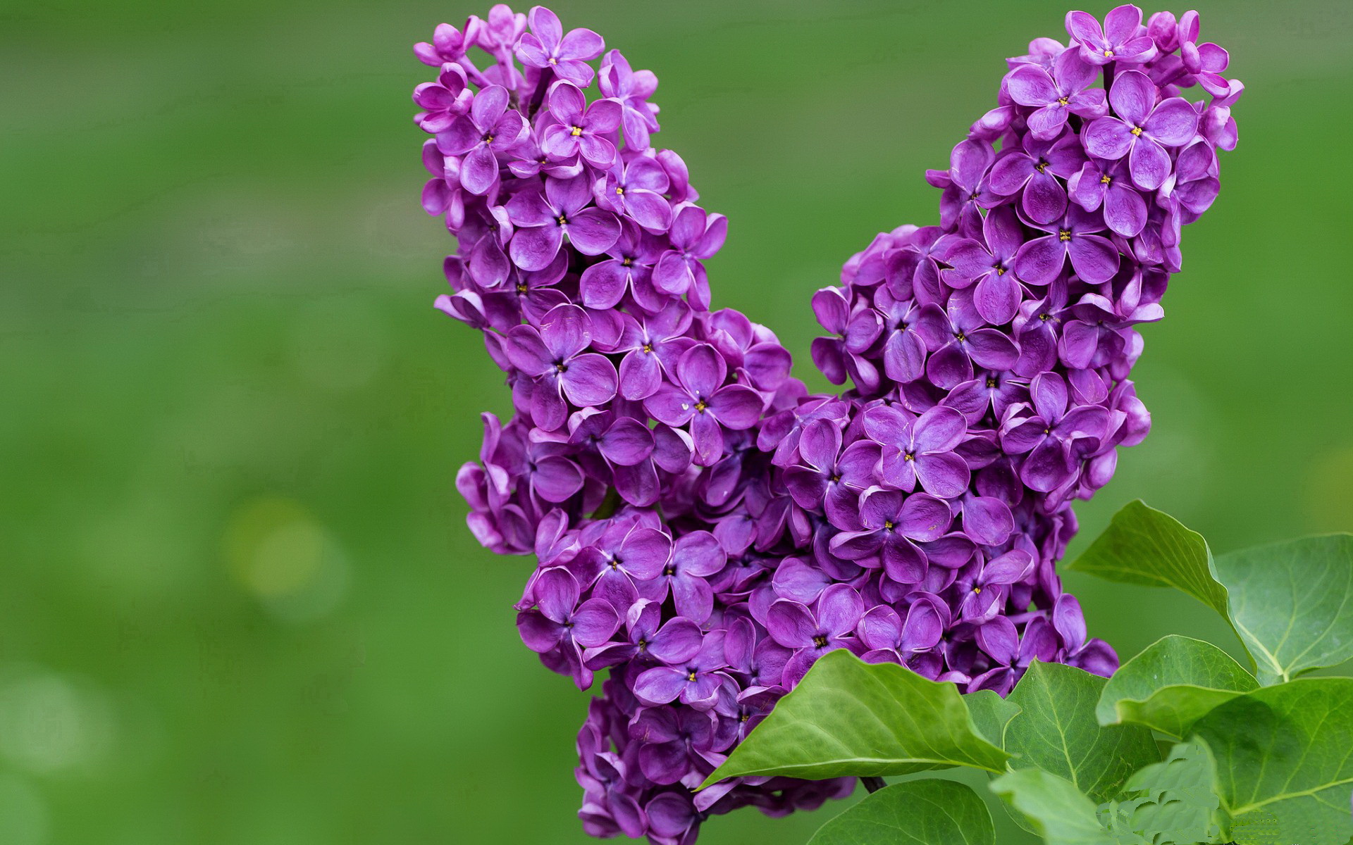 爱游戏登录入口-男队再添奖牌 实力持续提升，男单奖牌  第1张